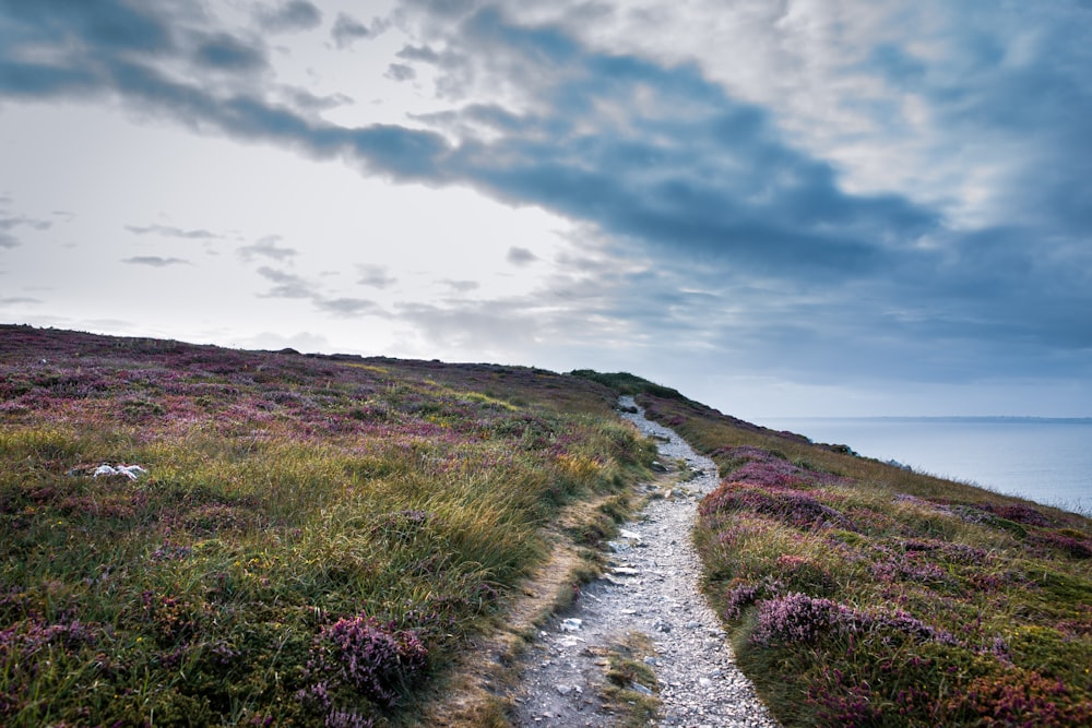 un chemin menant au sommet d’une colline