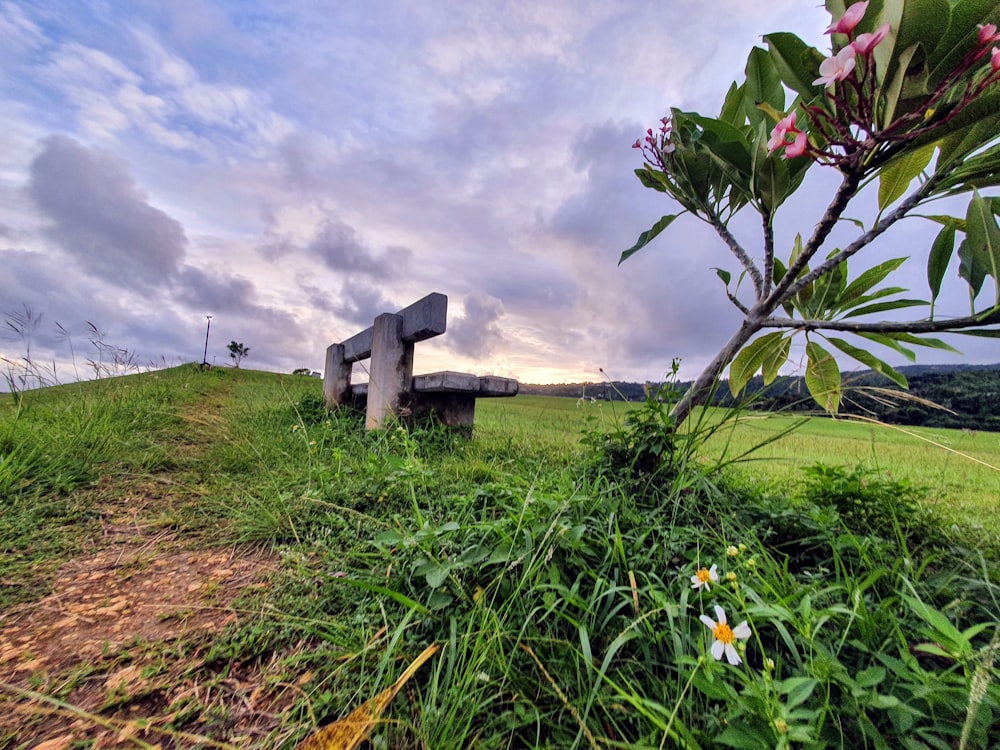 a bench sitting on top of a lush green hillside