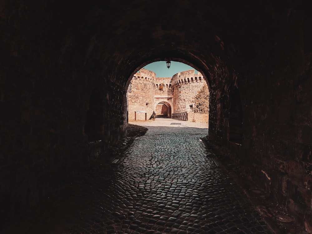 a dark tunnel with cobblestones leading into a castle