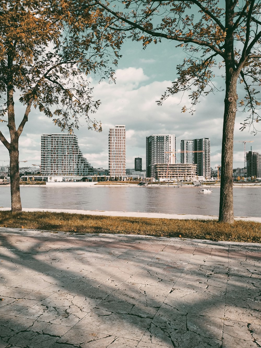 Una vista de un cuerpo de agua con una ciudad al fondo