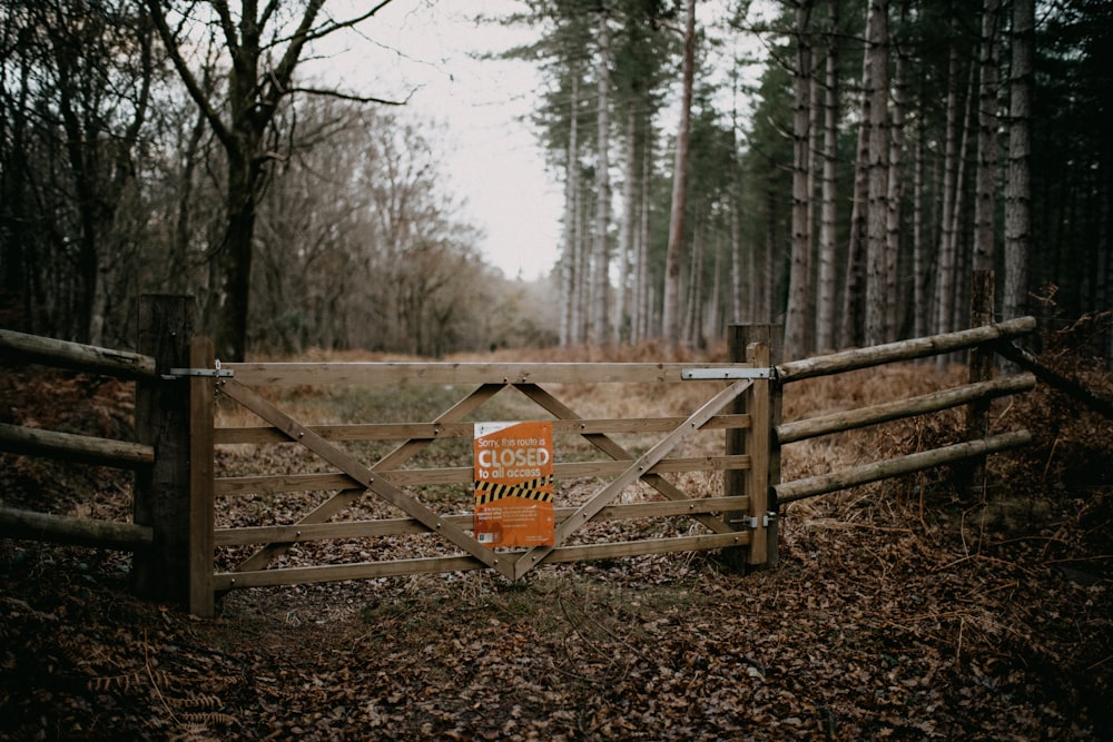 a wooden gate in the middle of a forest