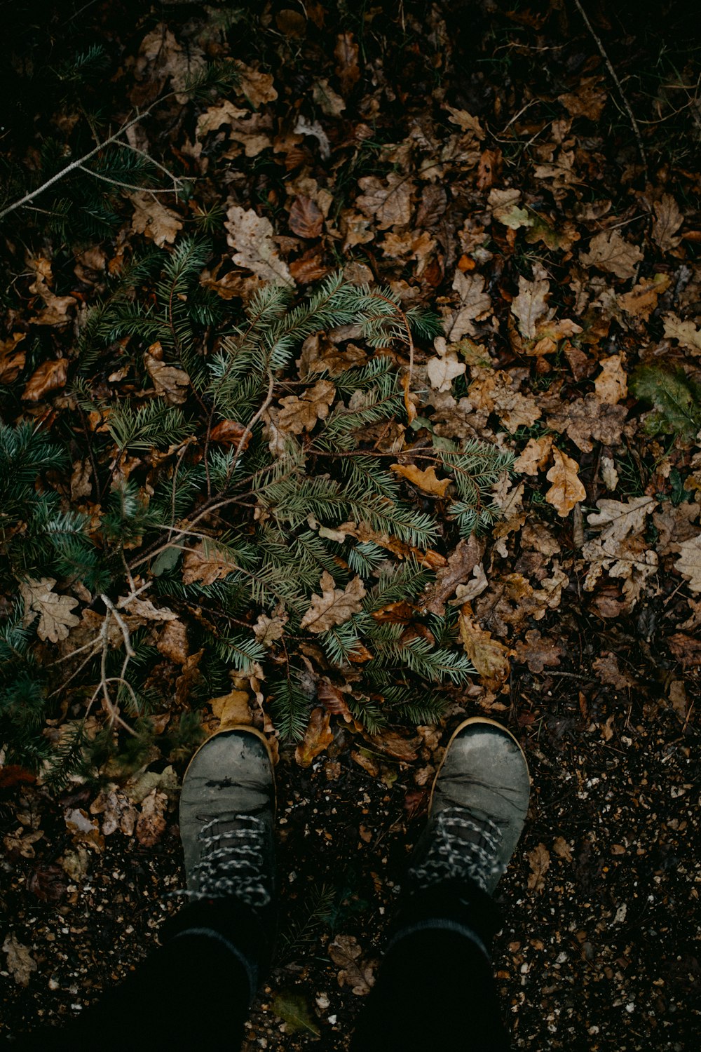 a person's feet standing in a pile of leaves
