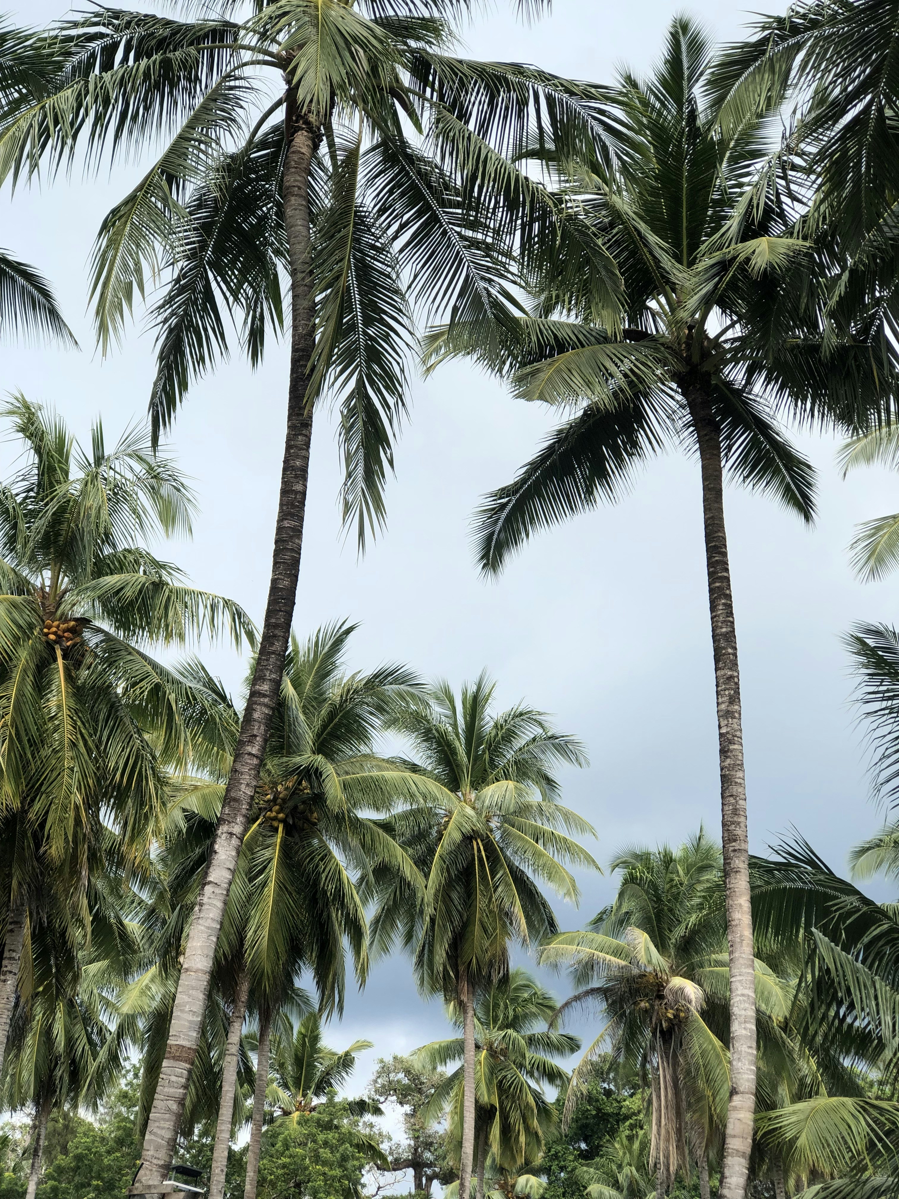 Photo by aryansh_sharma