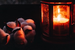 Cozy Cotton Nightwear