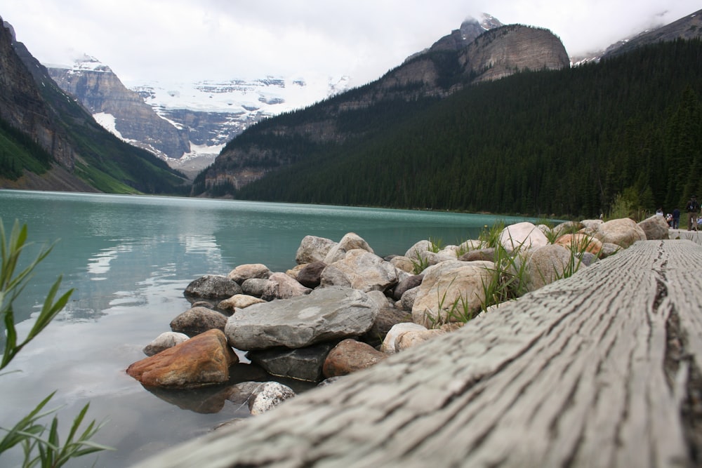 a body of water surrounded by mountains and trees