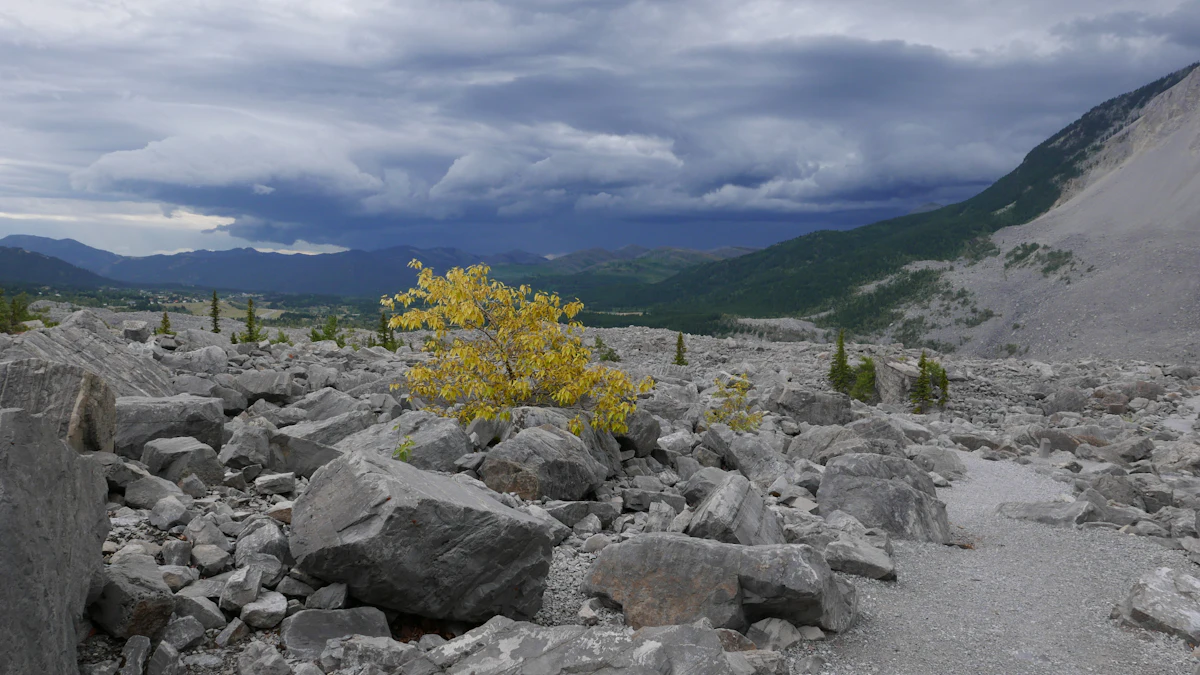 Grey limestone boulders of the Frank Slide with a small yellow tree, under storm clouds