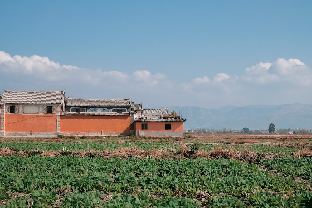 a building in a field with mountains in the background