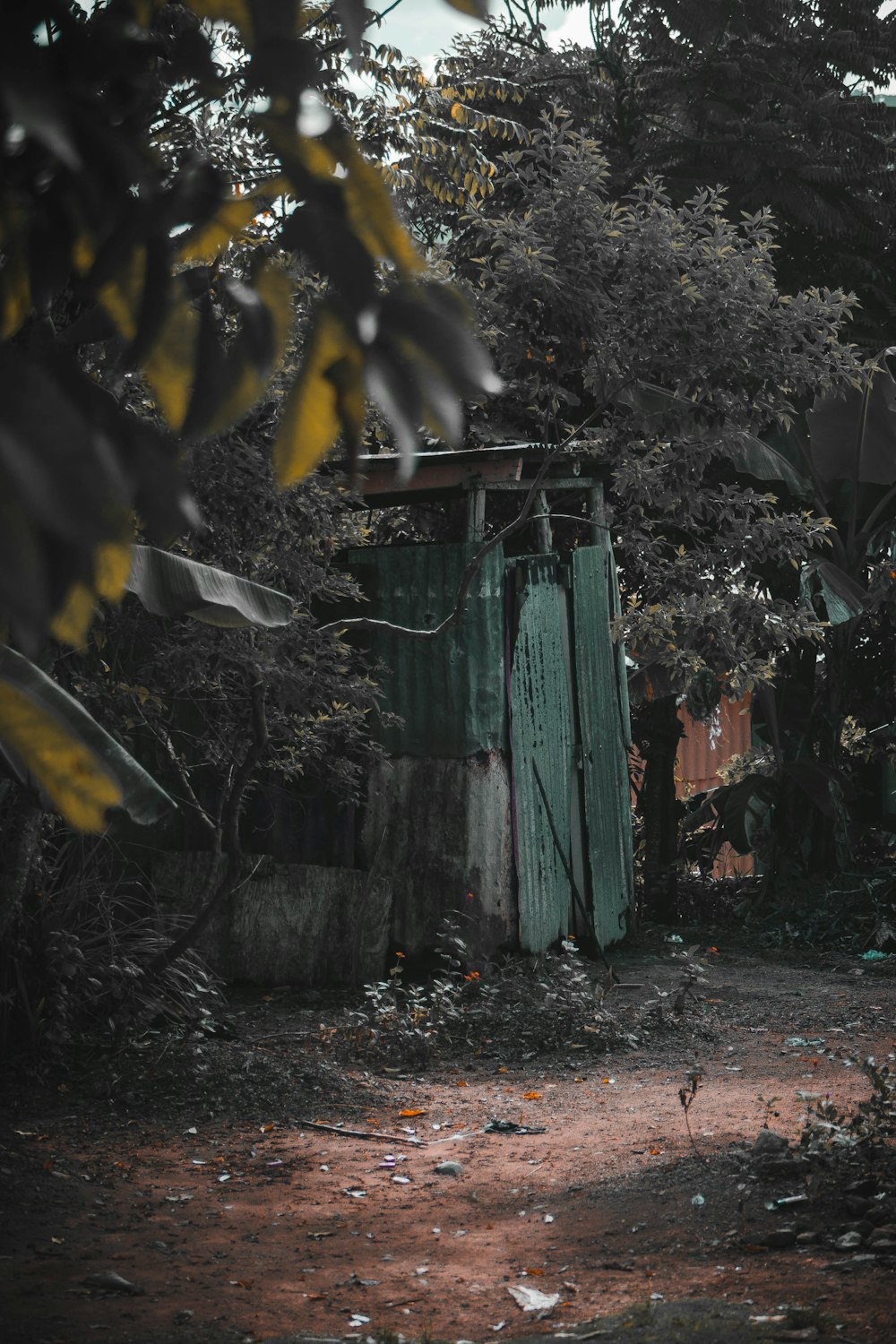 a green shed sitting in the middle of a forest