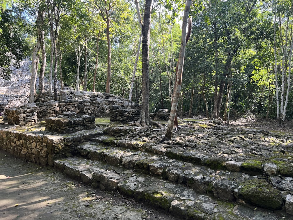 a stone structure in the middle of a forest