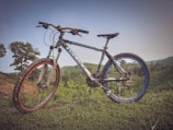 A mountain bike is positioned on a grassy hilltop with rugged tires, a metallic frame, and blue and red accents on the wheels. The background showcases rolling hills covered with lush greenery under an open sky.