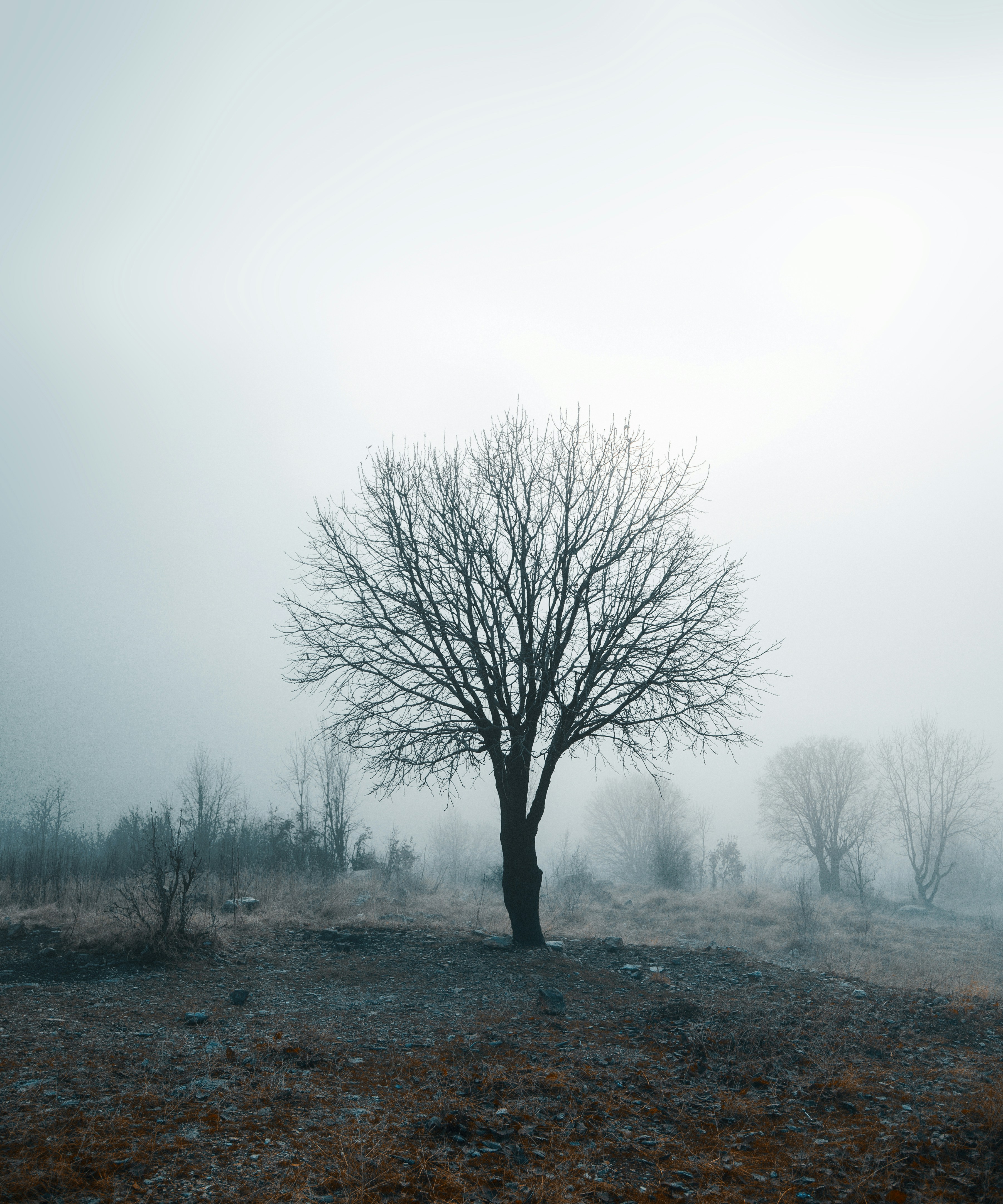 Photo by diyarshahbaz