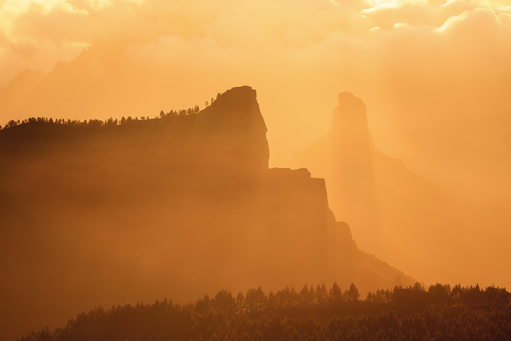 a mountain covered in fog with trees on the side