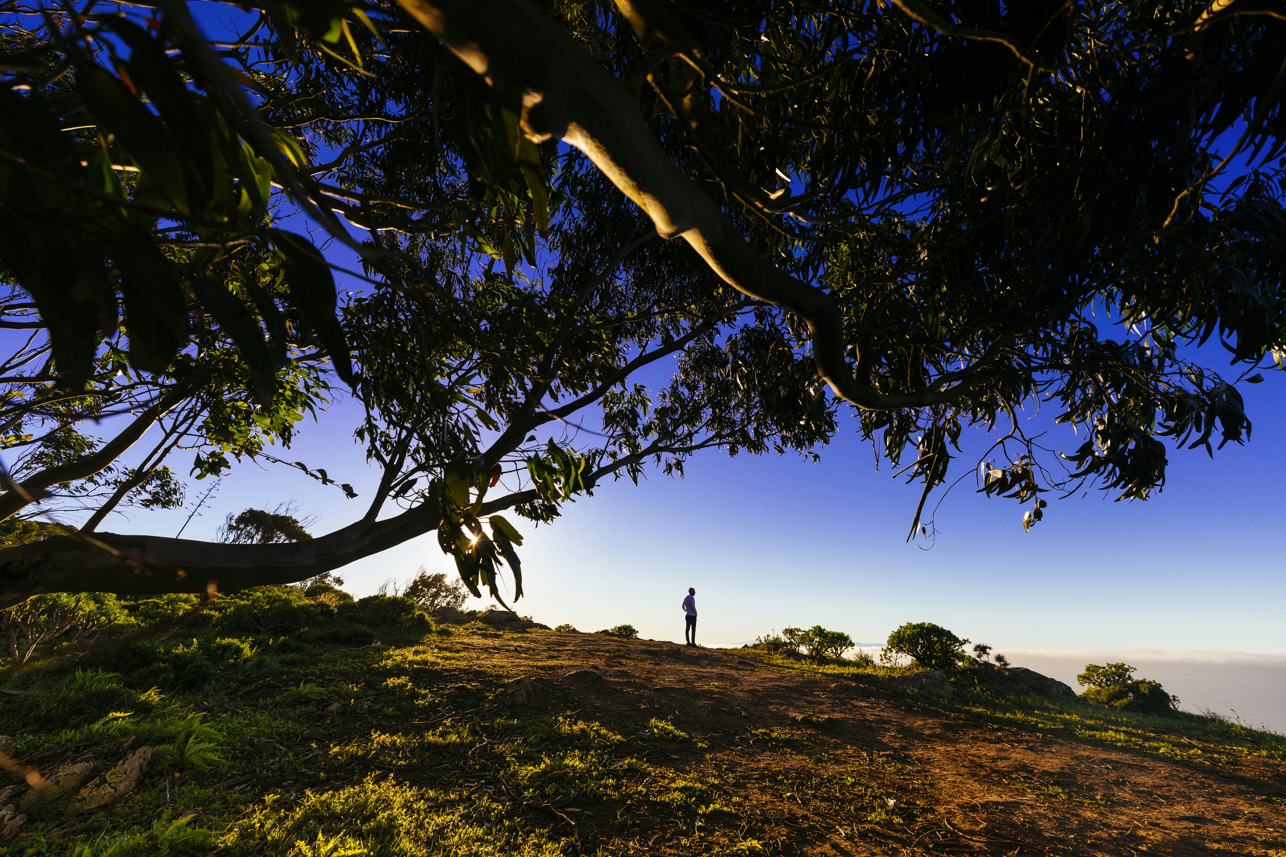 Photo by grancanariafornomadlist