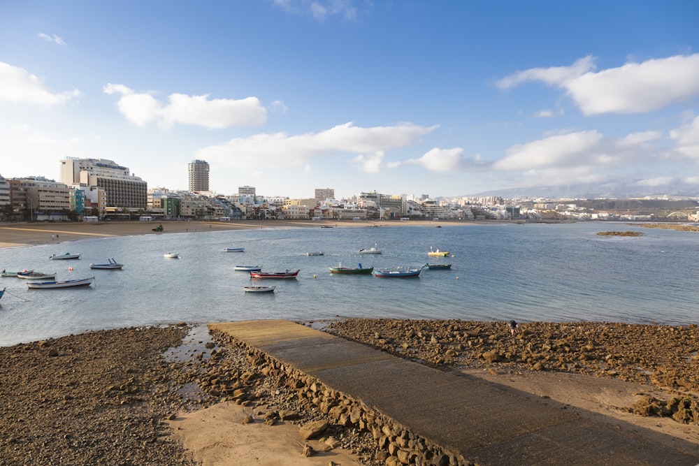 Un grupo de barcos flotando sobre un cuerpo de agua