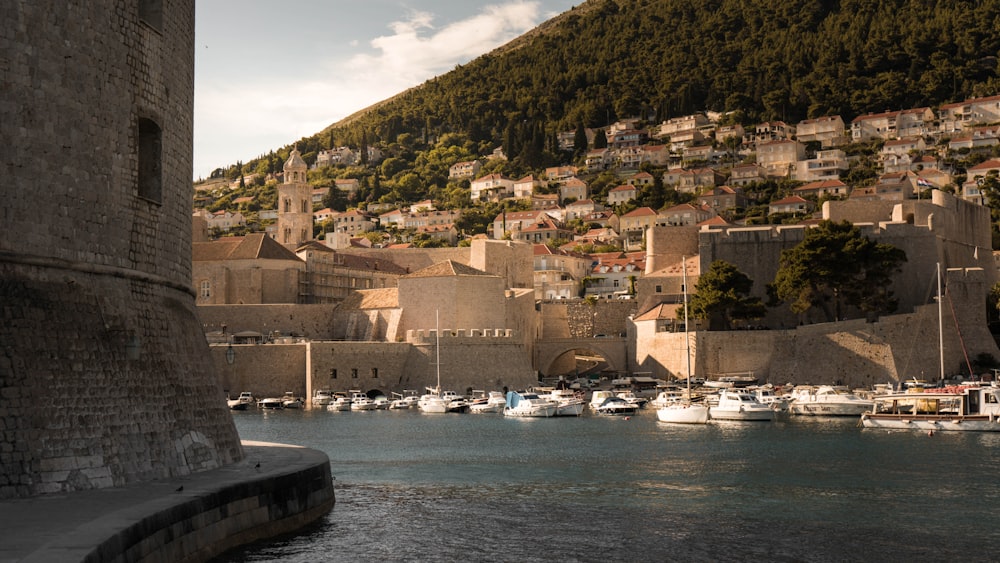 a harbor filled with lots of boats next to a hillside