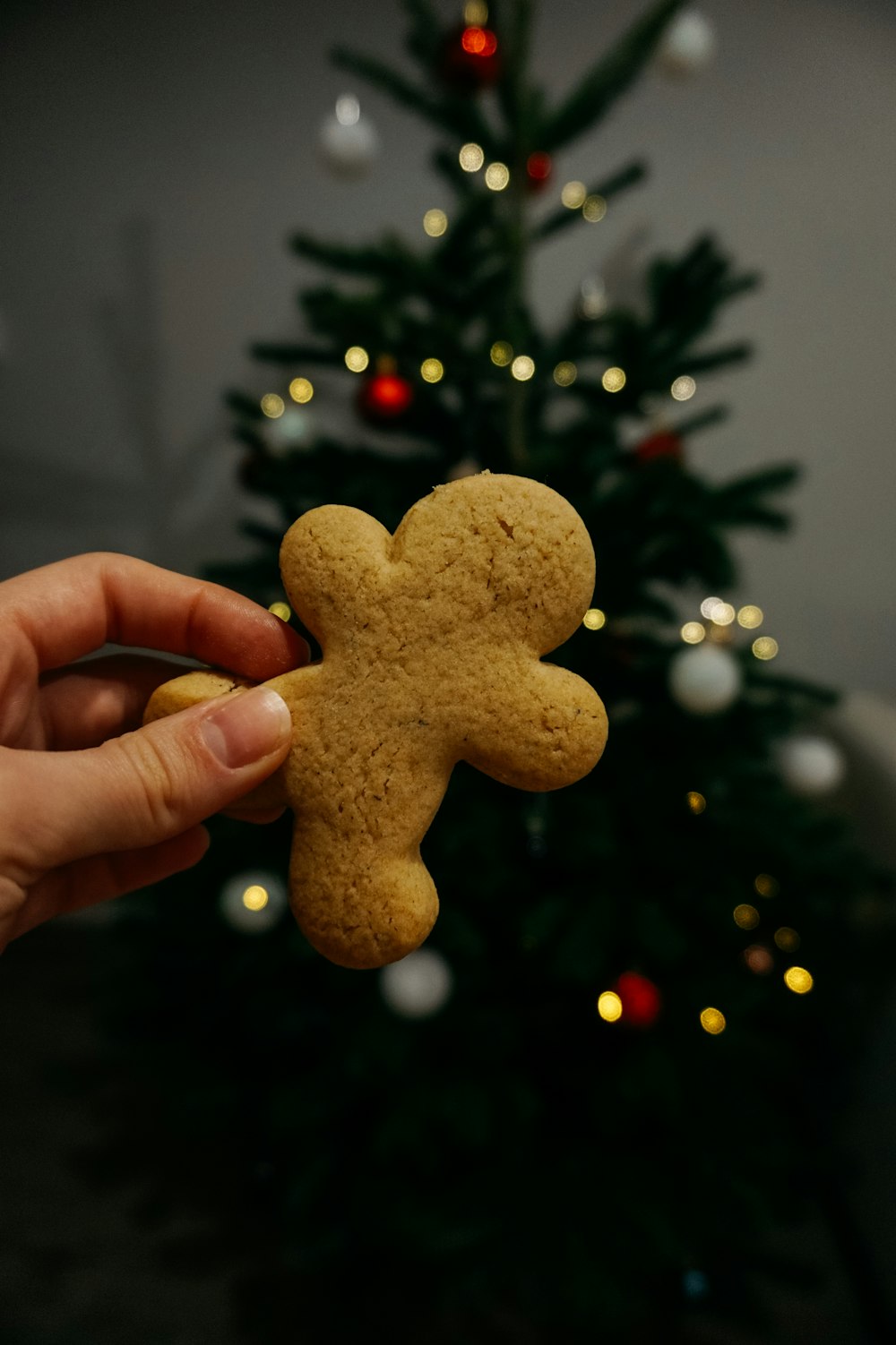 a person holding a cookie shaped like a teddy bear