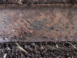 A rusted metal surface with visible corrosion and peeling paint is positioned above a ground layer covered in small rocks and pieces of dry vegetation.