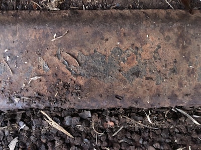 A rusted metal surface with visible corrosion and peeling paint is positioned above a ground layer covered in small rocks and pieces of dry vegetation.