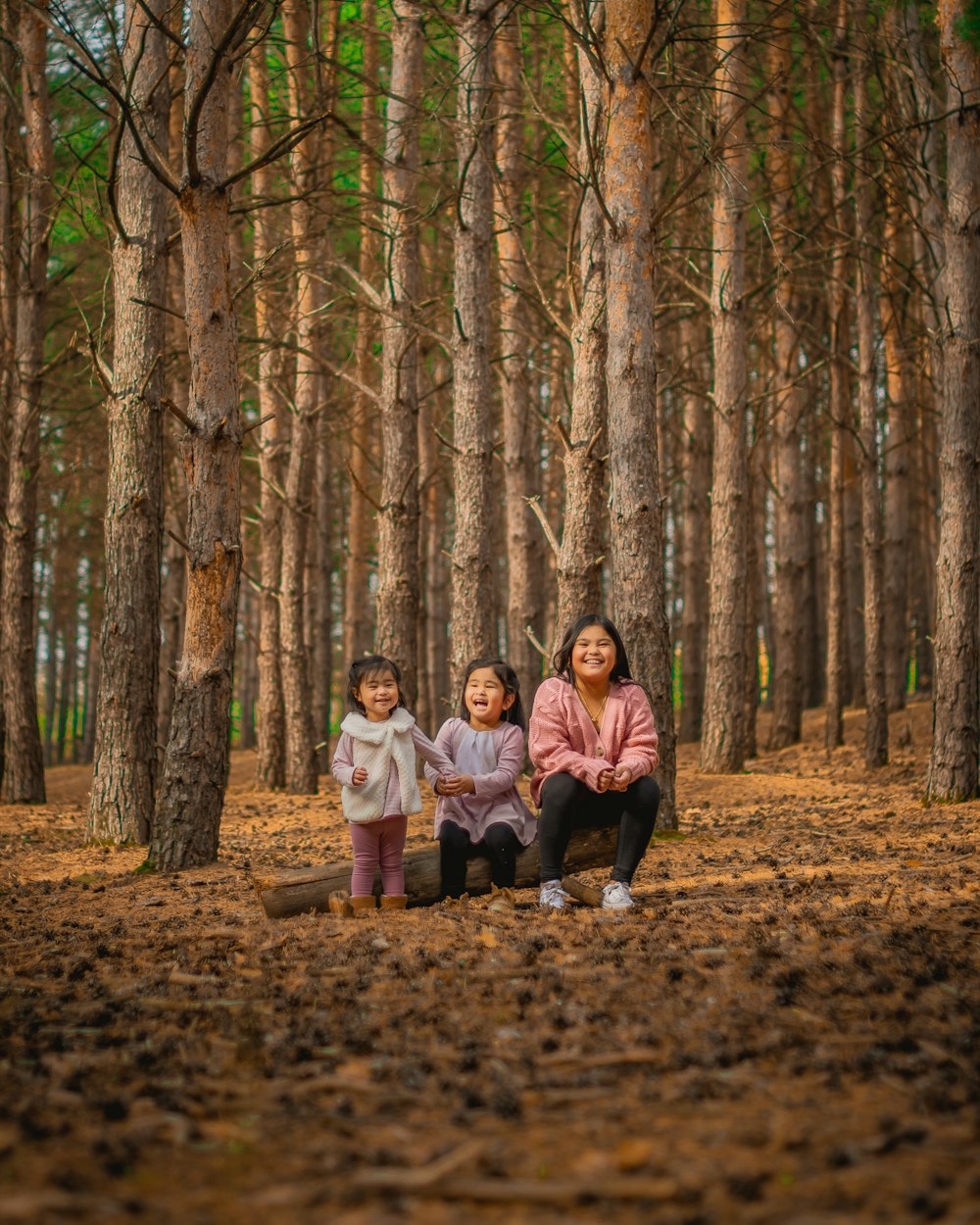 a group of people sitting in the middle of a forest