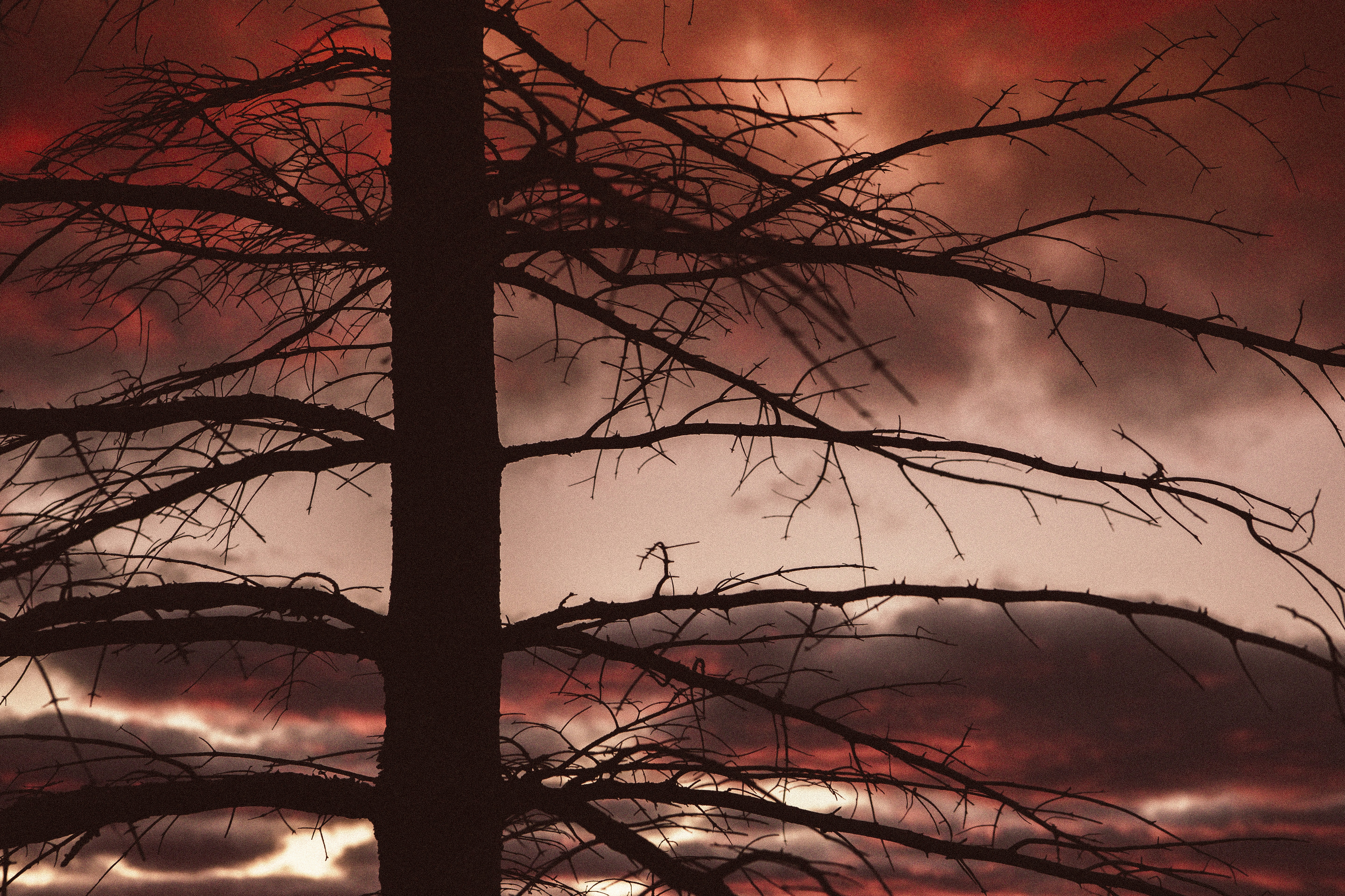 Photo by joetography