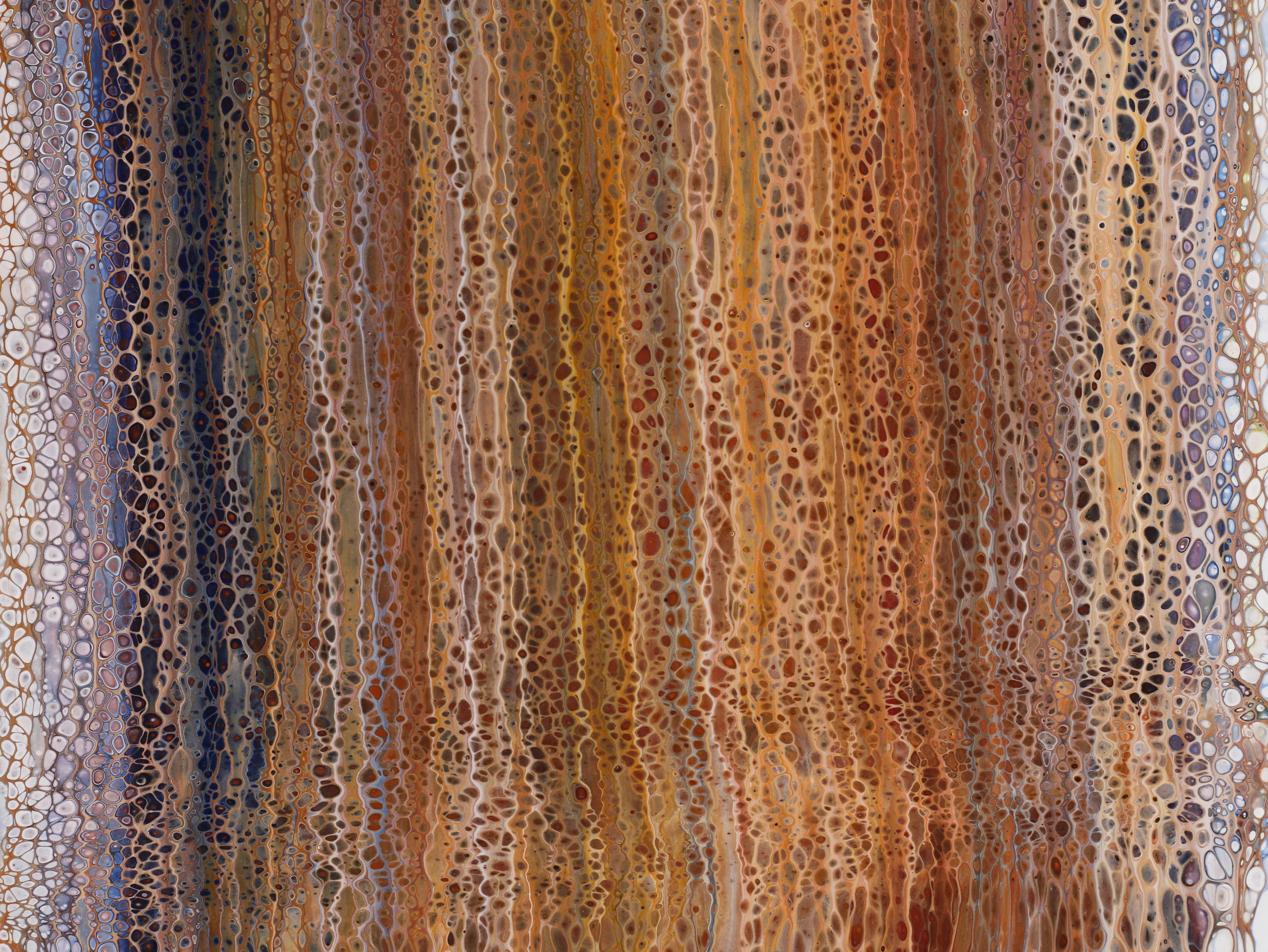 Photo by susan_wilkinson