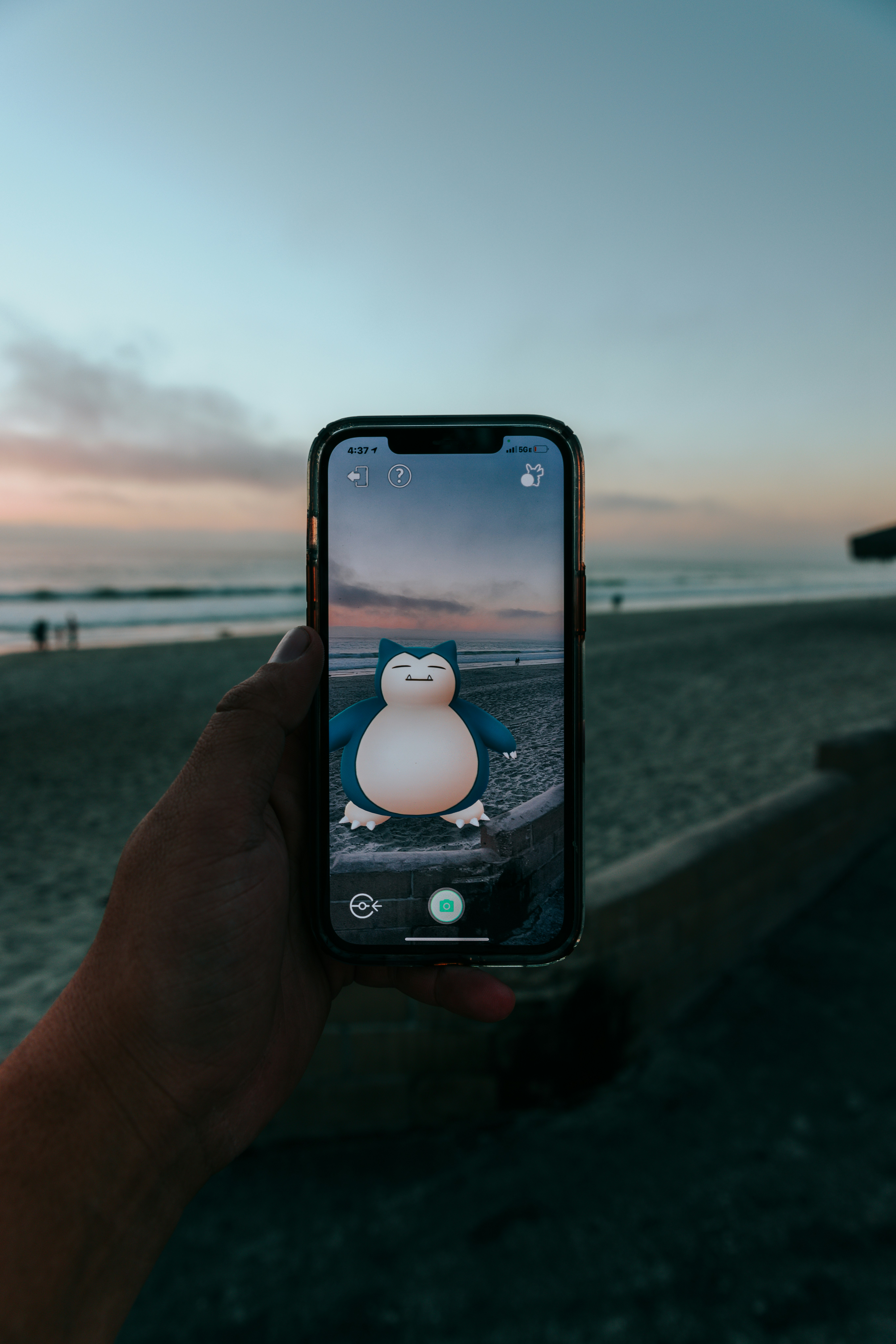 a person taking a picture of a penguin on a beach