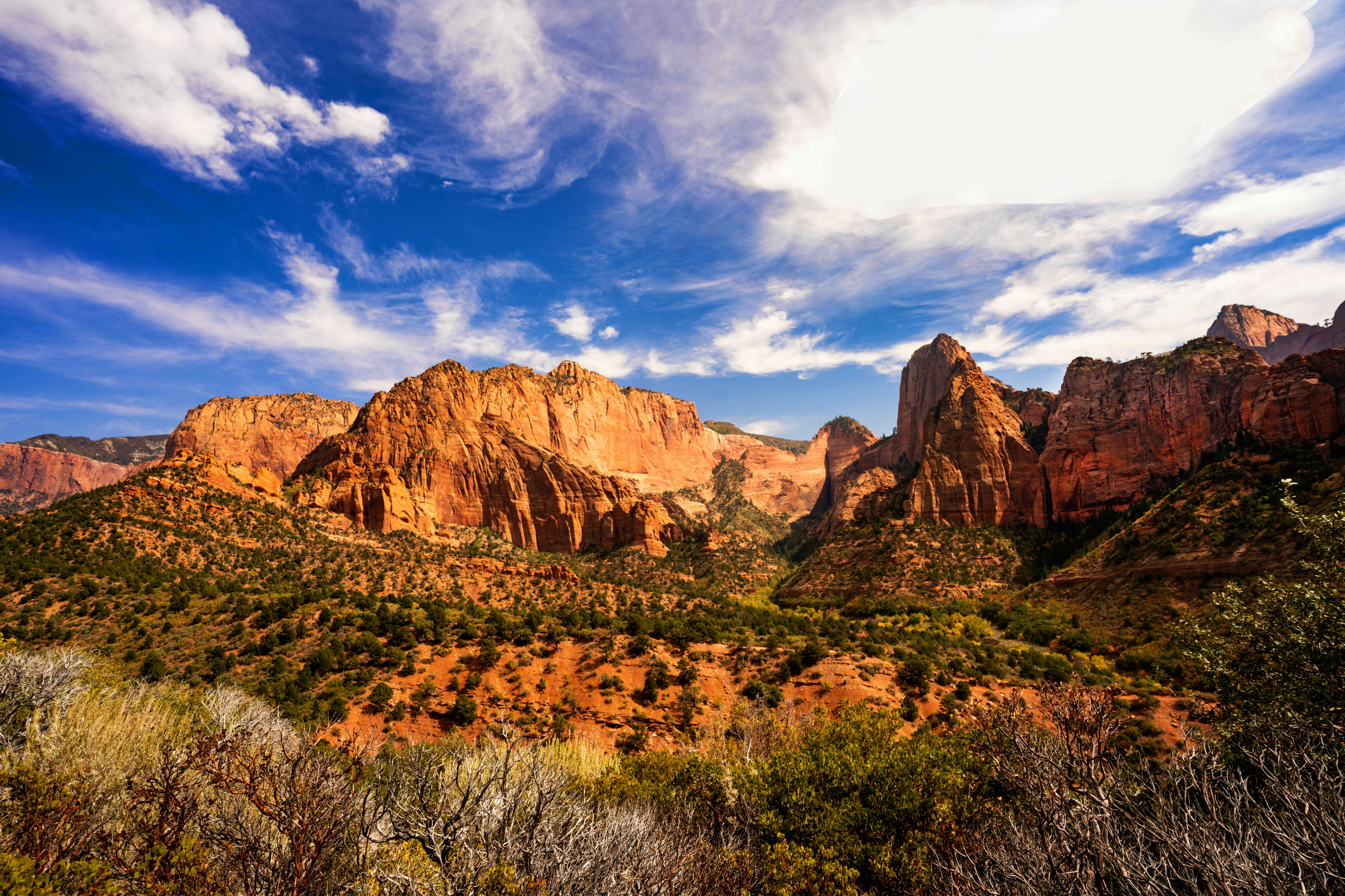 Photo by jeffreyalewis