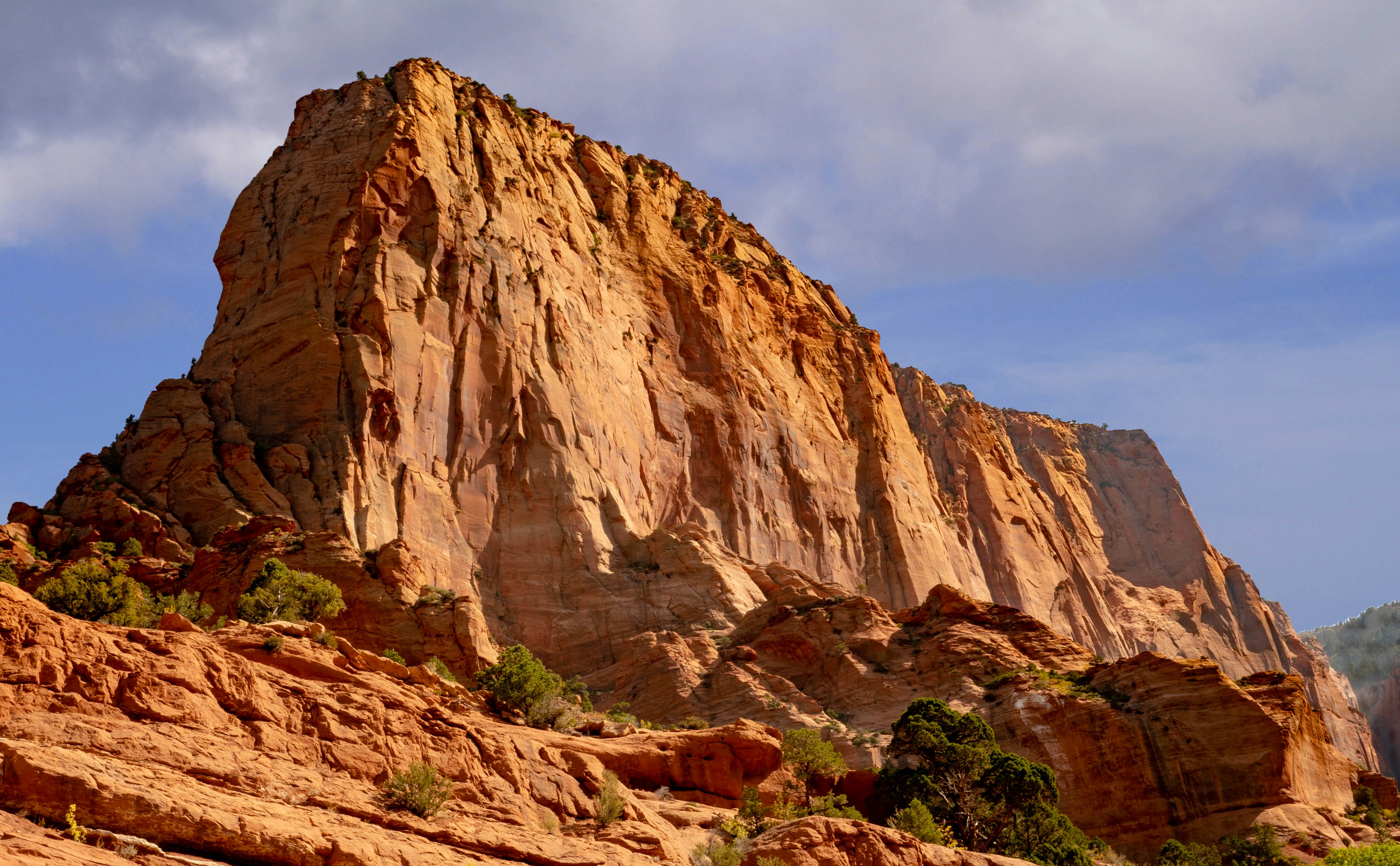 Photo by jeffreyalewis