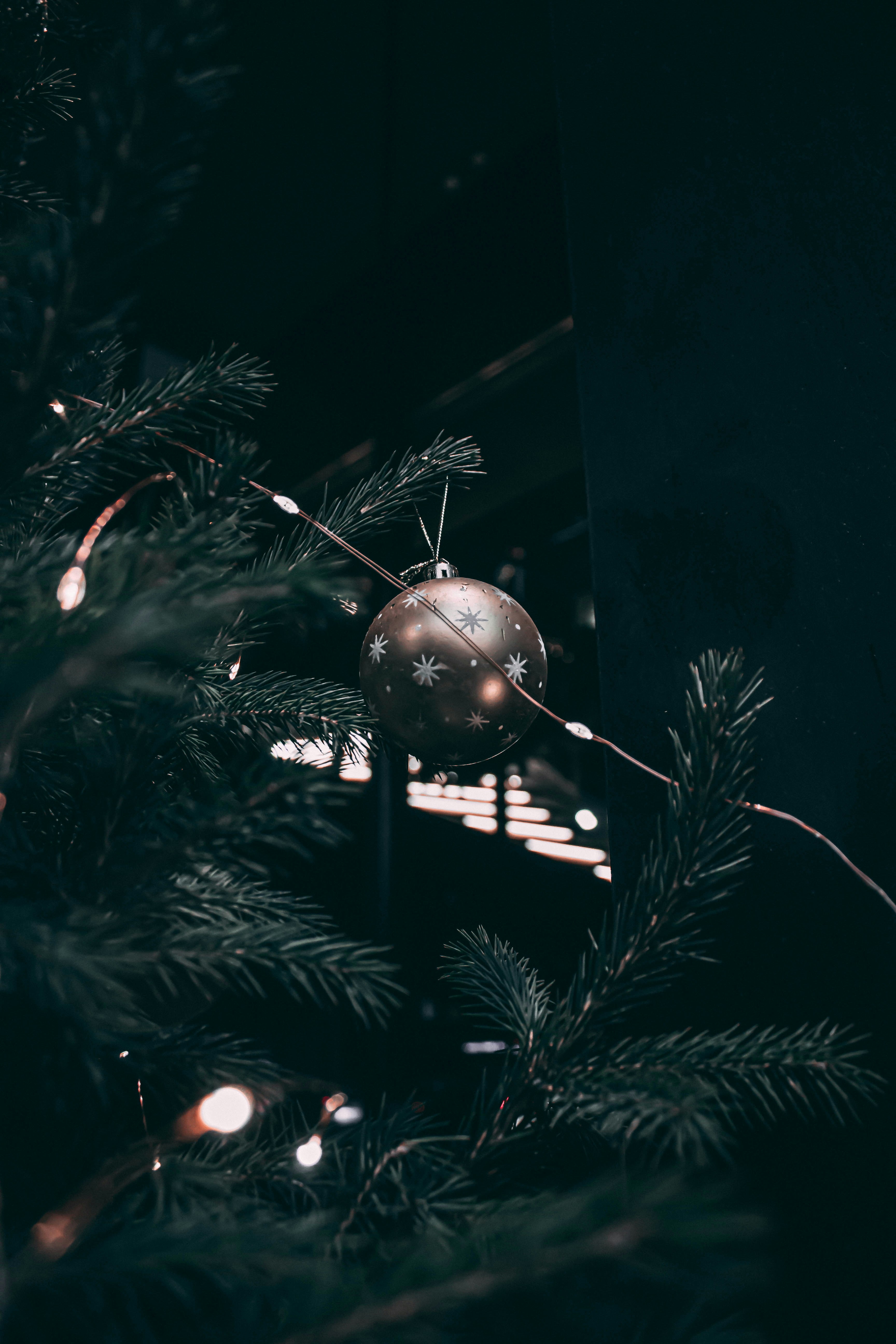 Photo by alienrhapsody