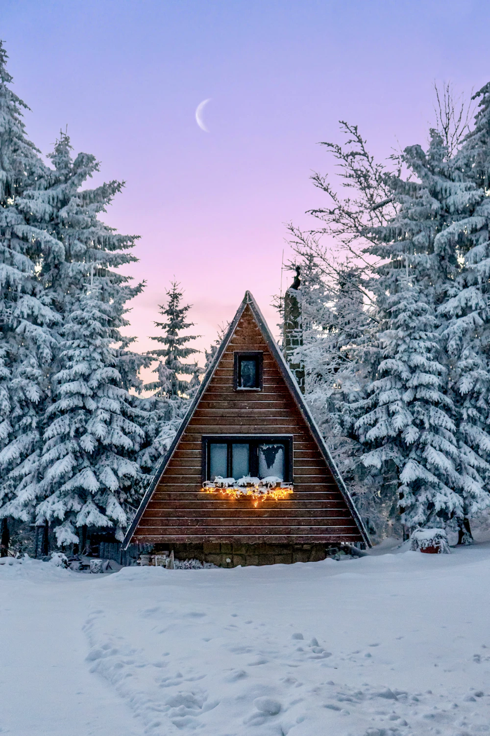 Cabin tucked into a snowy forest