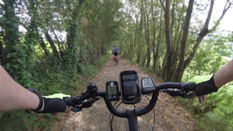 A cyclist's point of view shows hands gripping the handlebars of a bicycle, riding along a narrow dirt path lined with tall trees. Another cyclist is riding ahead, surrounded by lush green foliage and dappled sunlight.