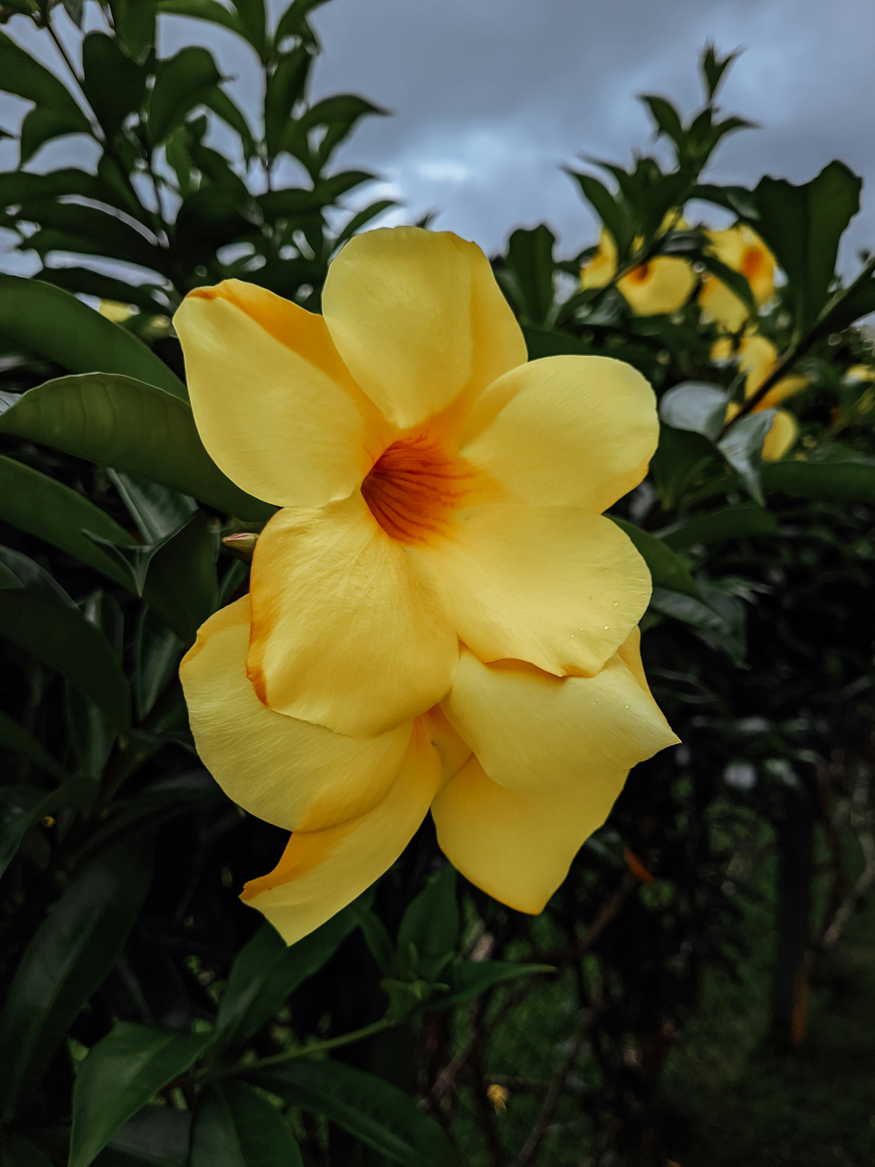 Photo by claitonconto