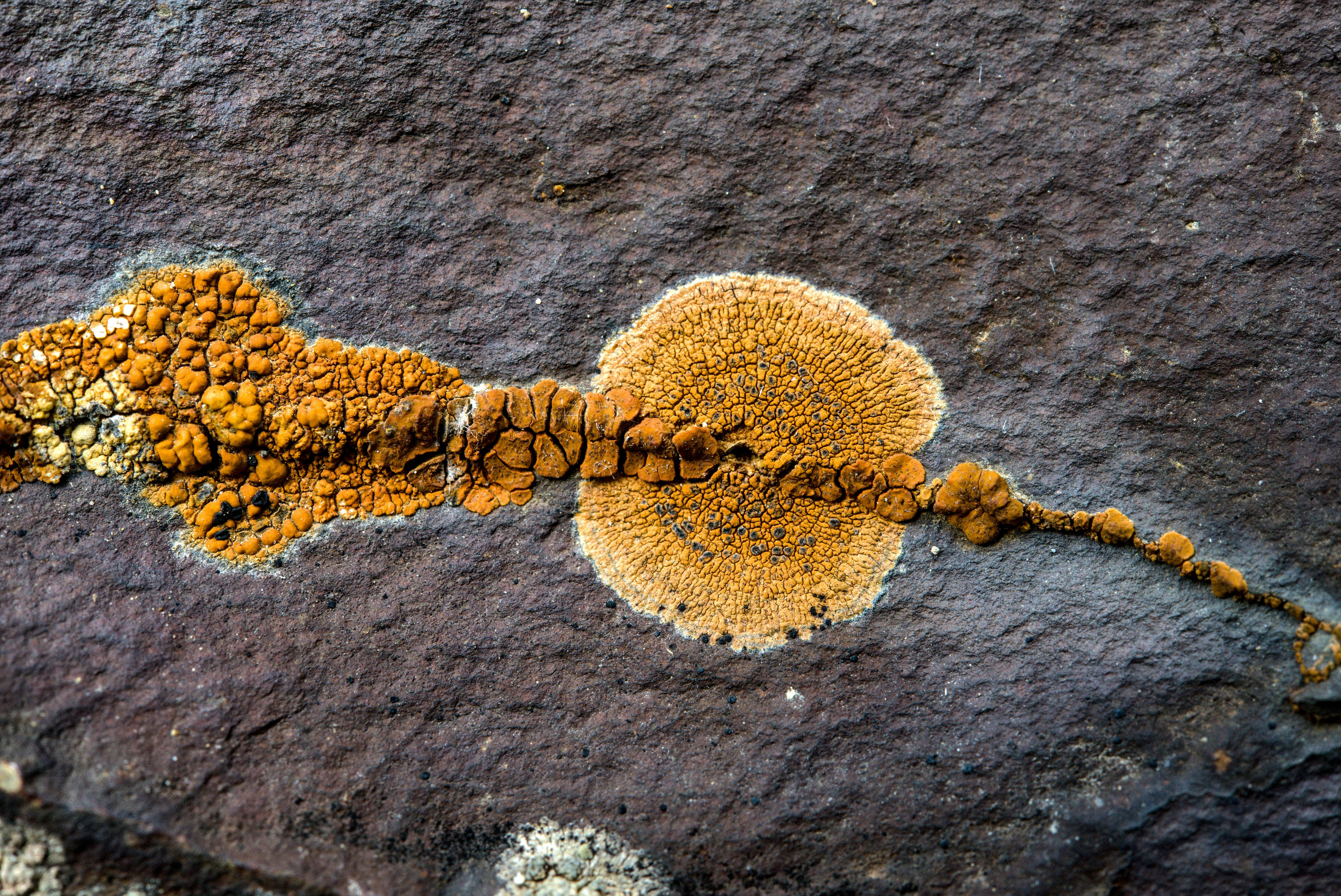 001. Does Evolution Eliminate The Need For God?