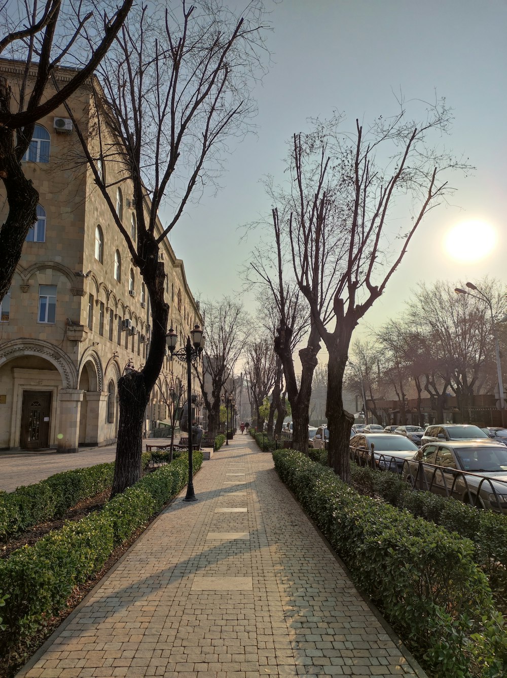 a sidewalk with trees and bushes on both sides of it