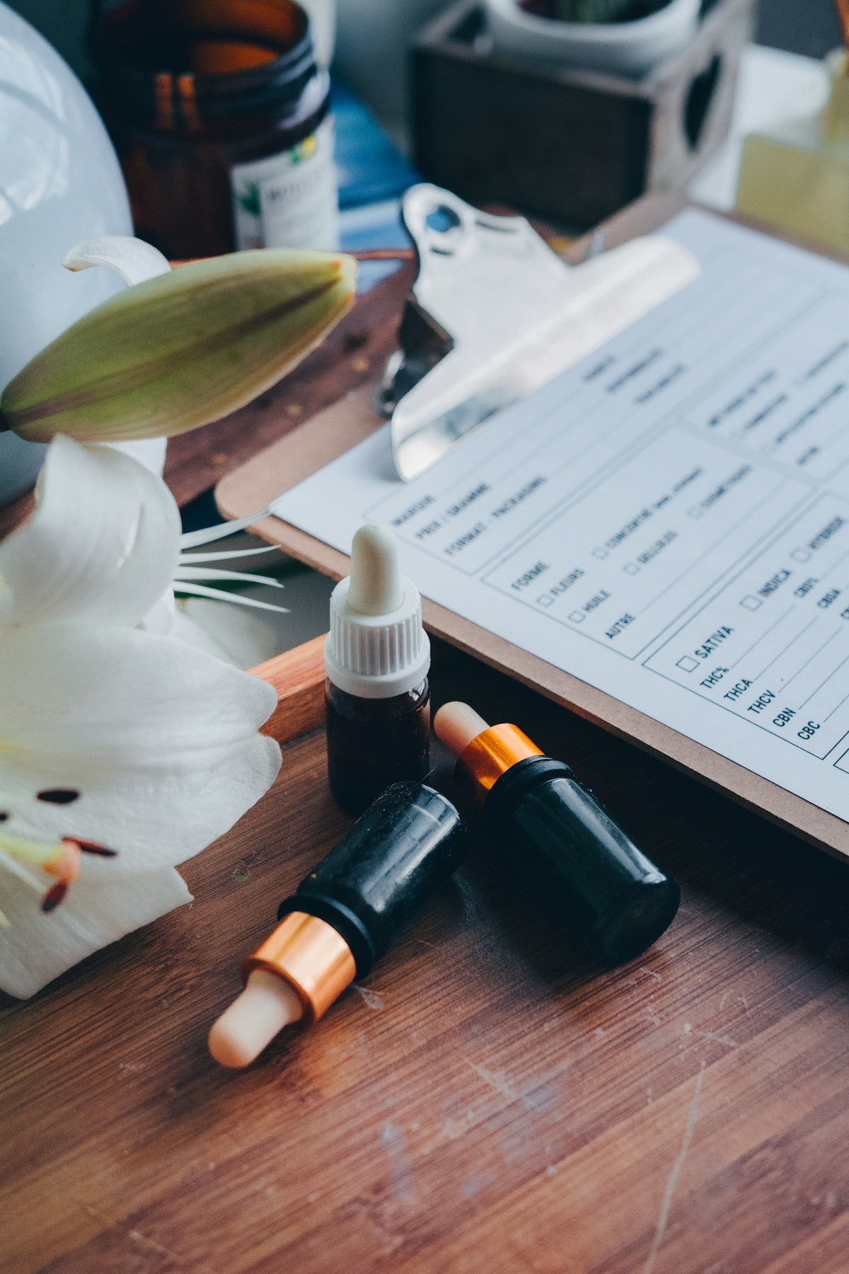 Ayurvedic Consultations