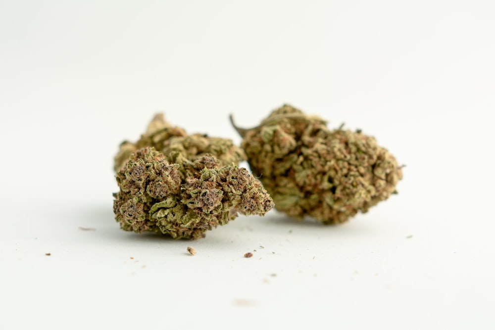 a close up of two marijuana buds on a white surface