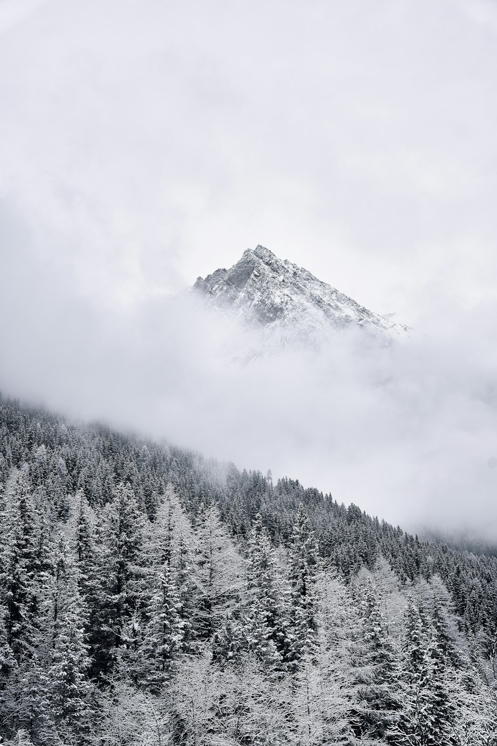 a mountain covered in snow and surrounded by trees