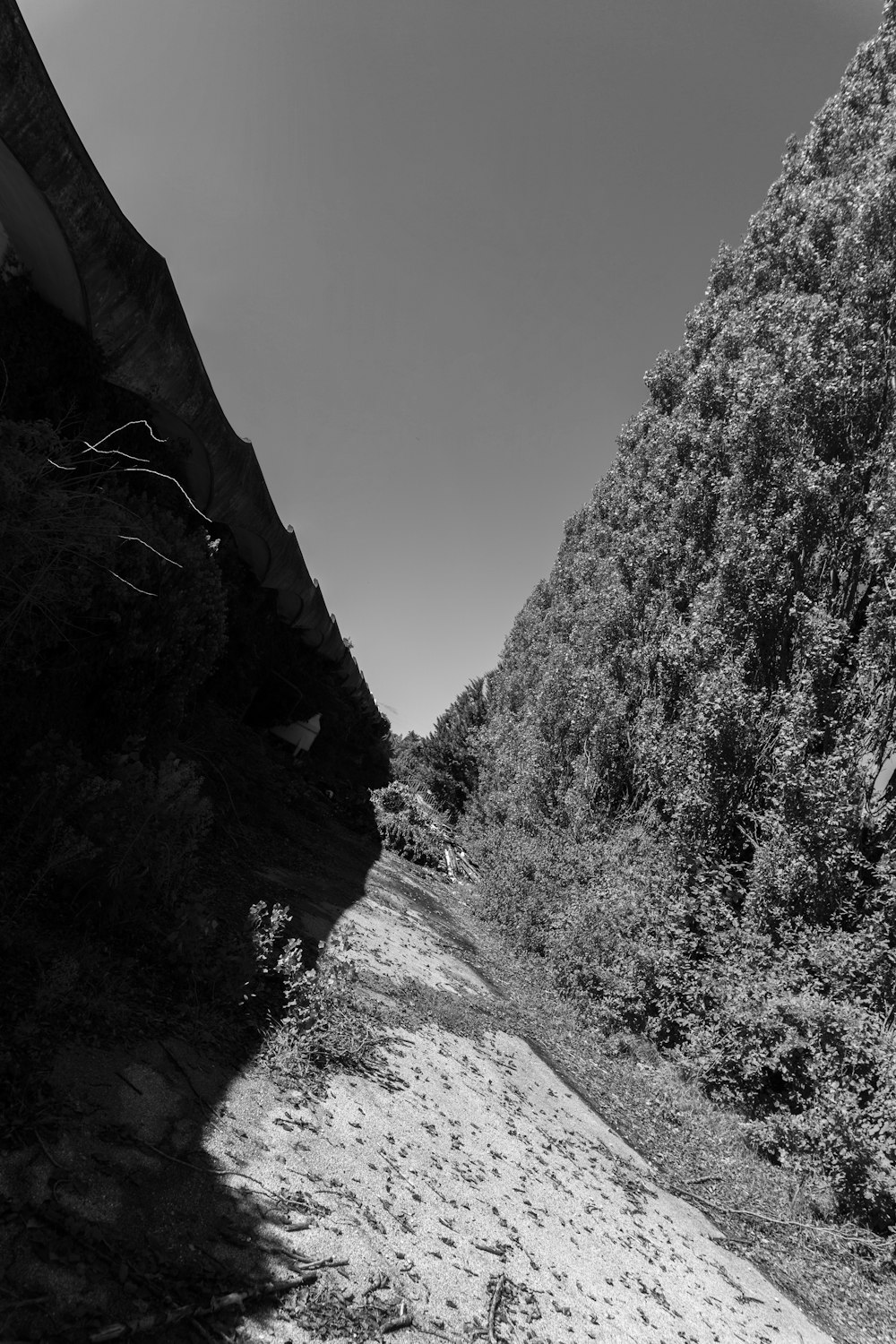 a black and white photo of a dirt road