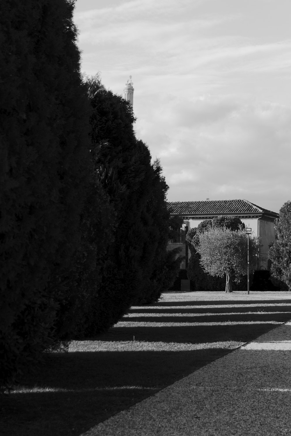 uma foto em preto e branco de árvores e um edifício