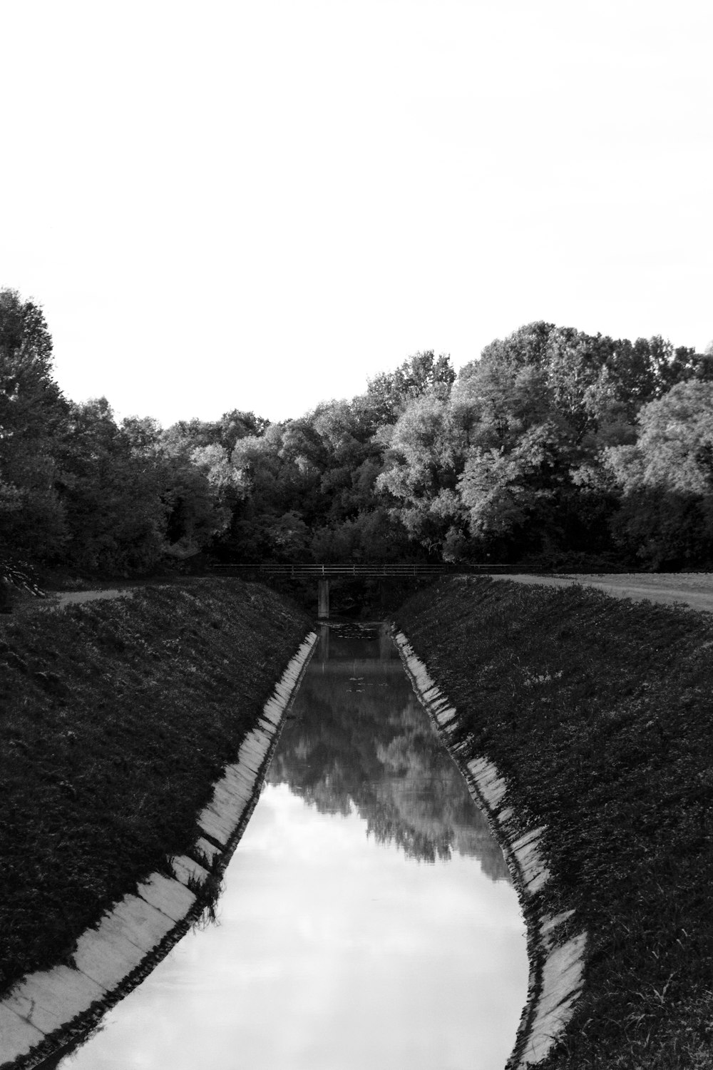 a black and white photo of a river running through a park