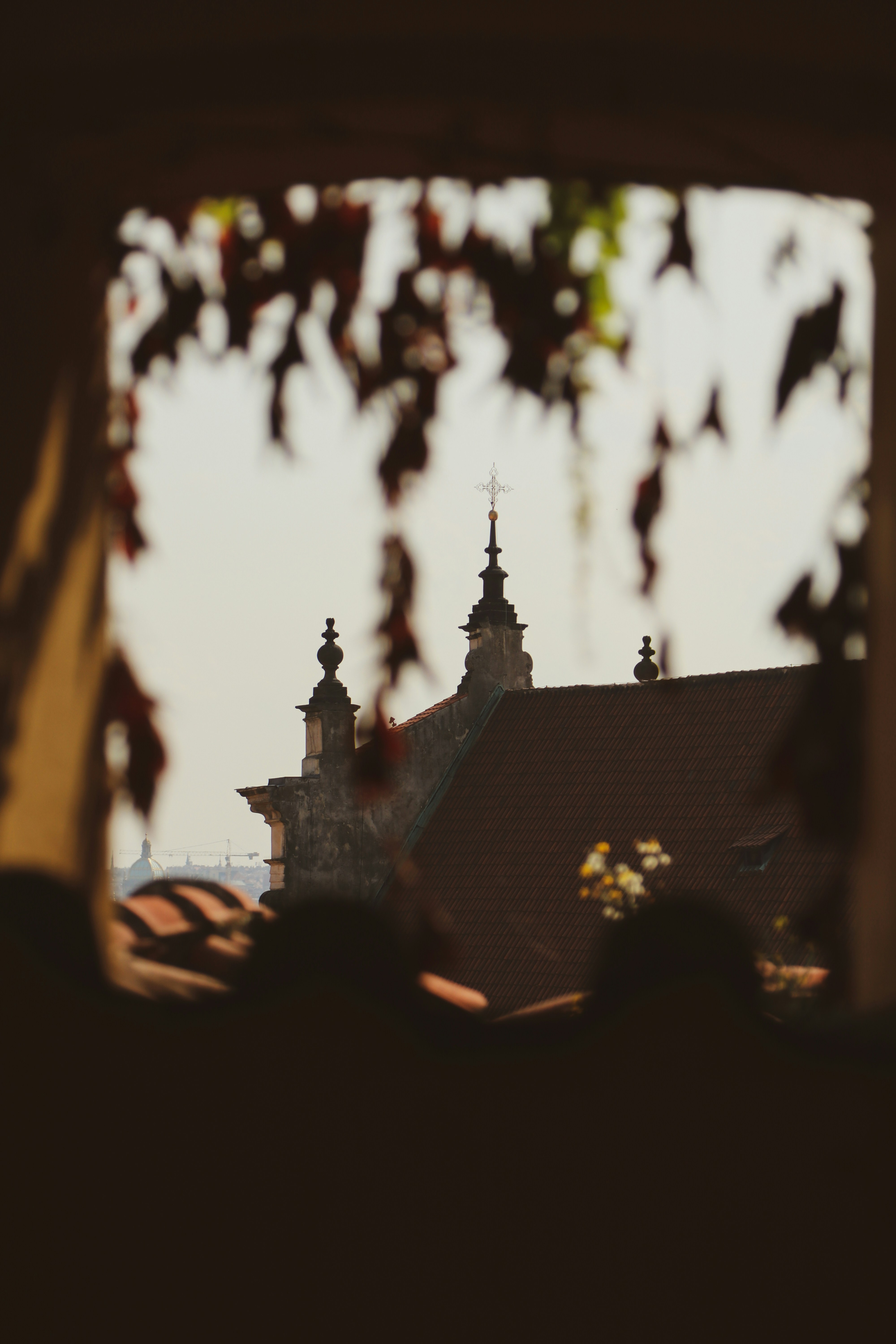 Photo by mxvandeberge