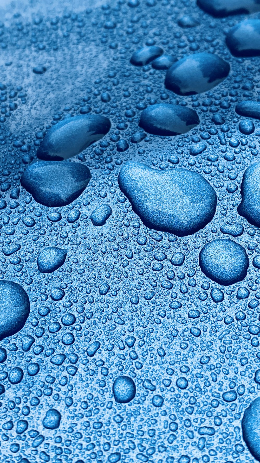 a close up of water droplets on a surface