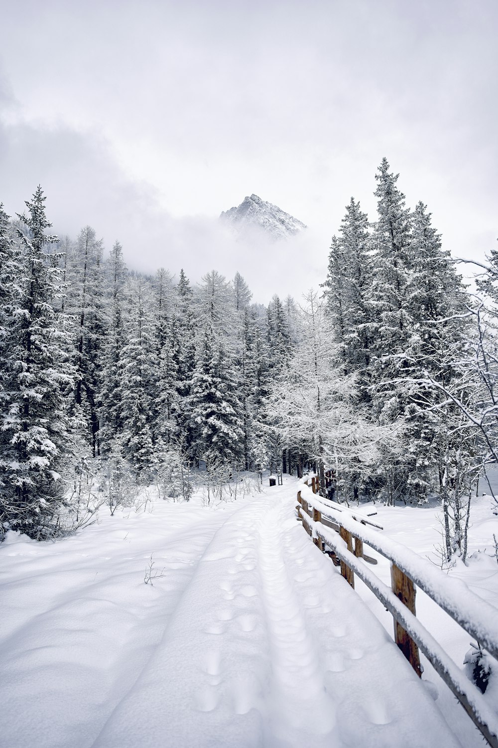 a snow covered road with a mountain in the background