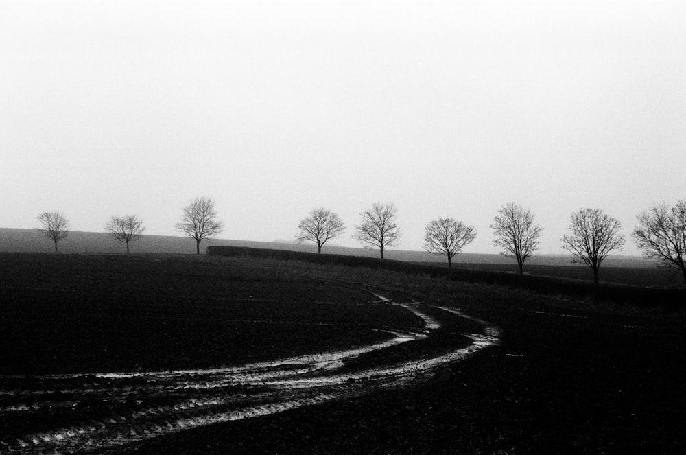 a black and white photo of a dirt road