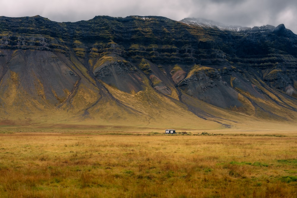 a grassy field with a mountain in the background