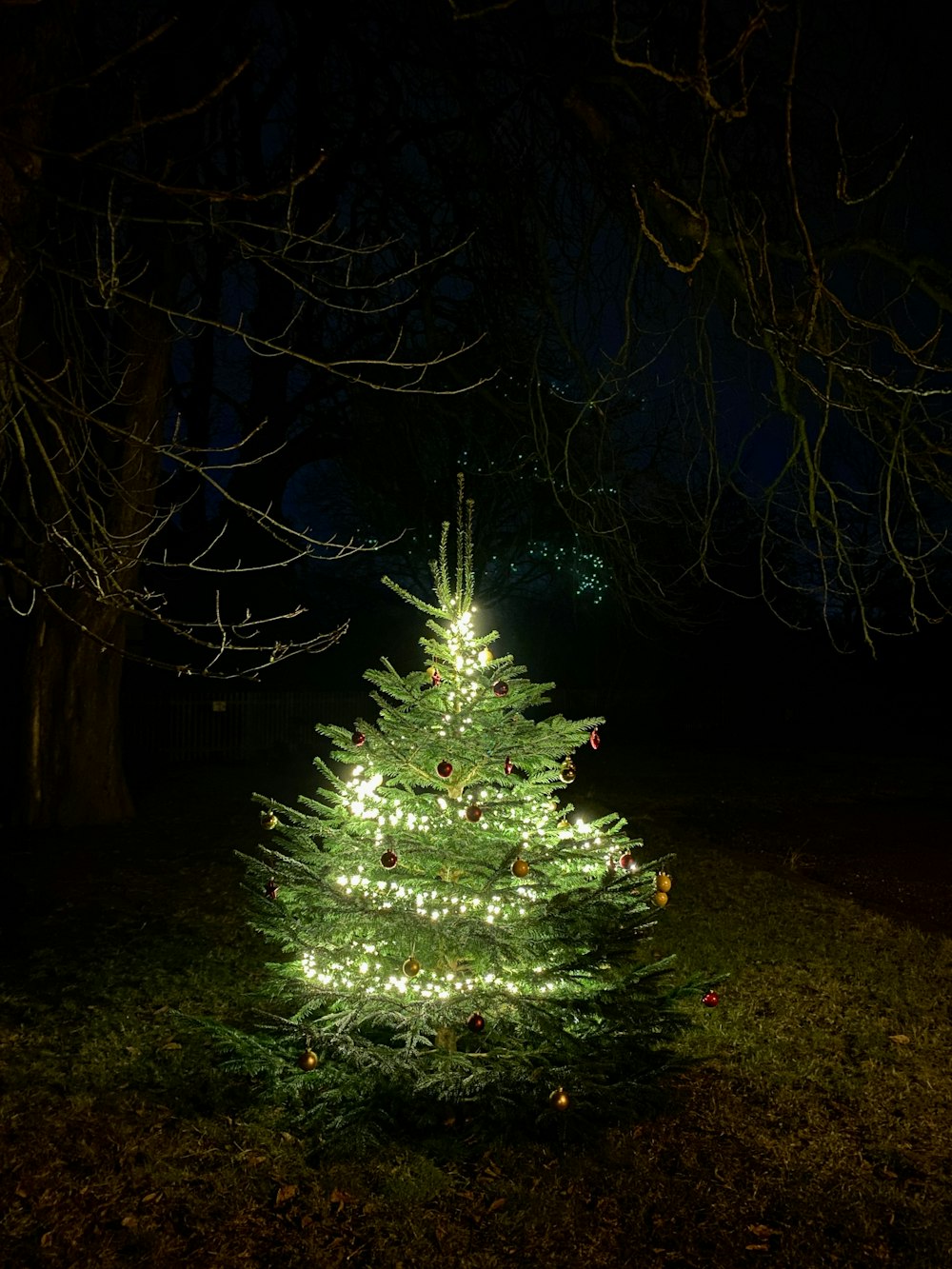 a lit up christmas tree in the dark