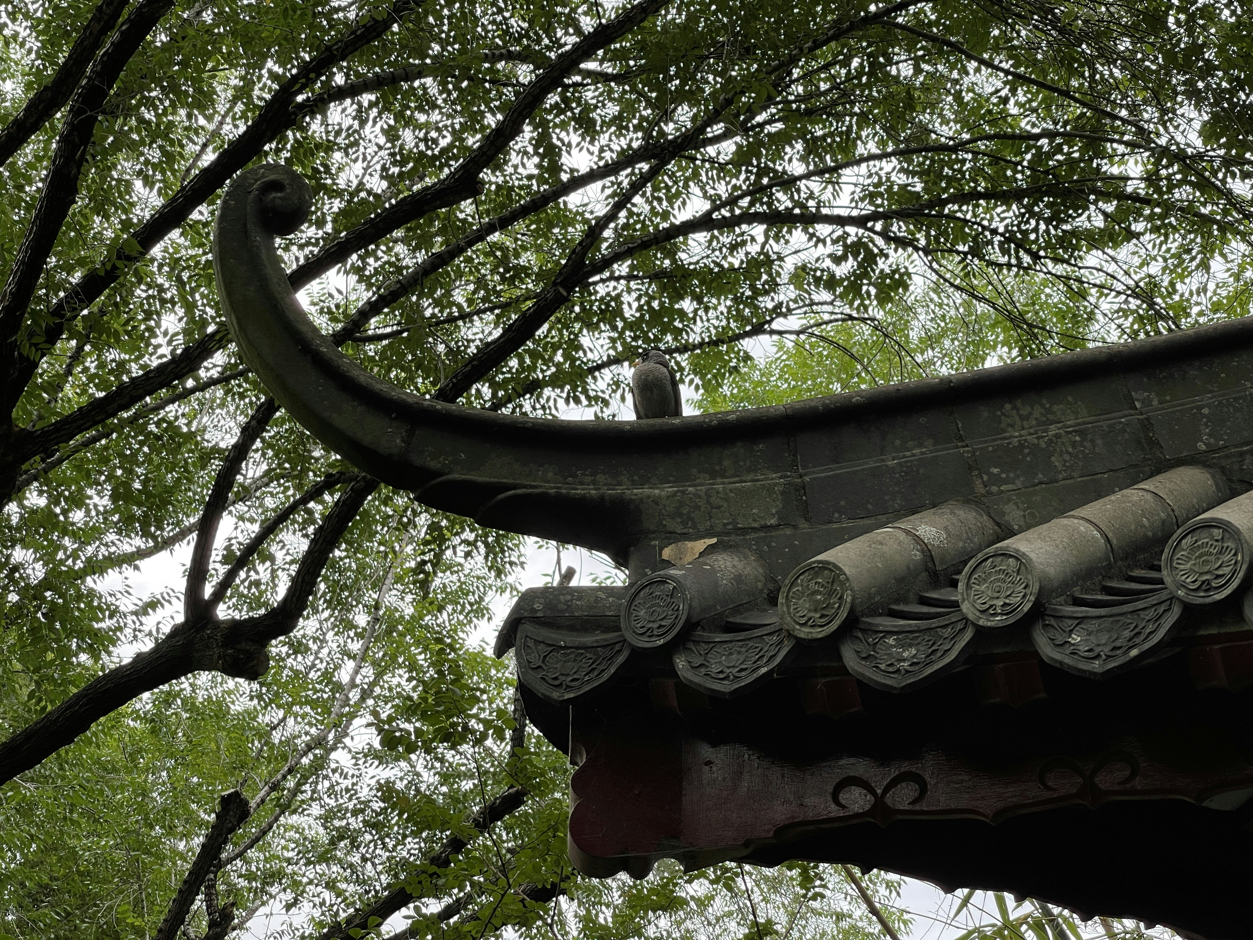 Photo by space_launch_system