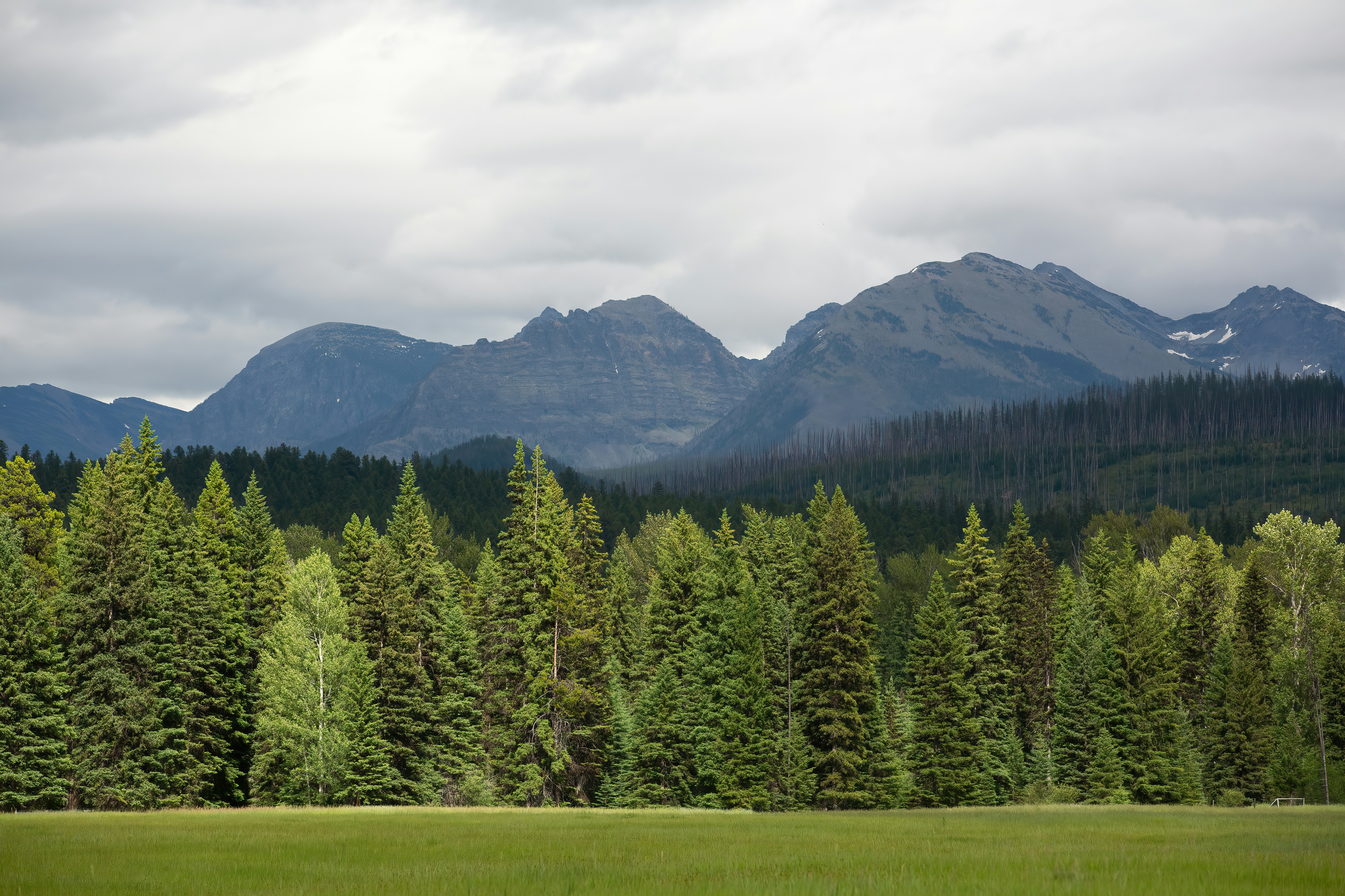 Photo by buscemaphotography