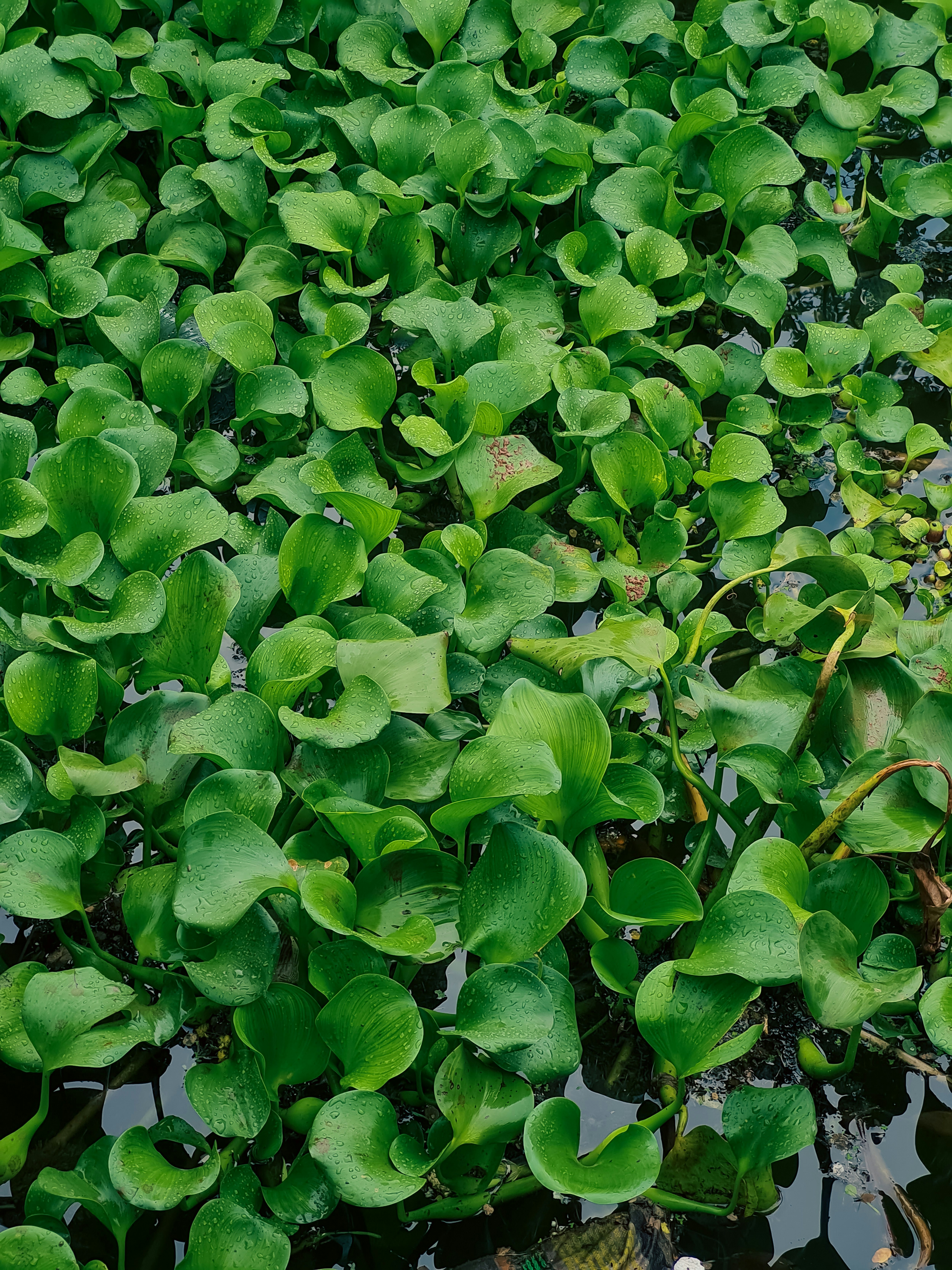 Photo by merajmirzabaig