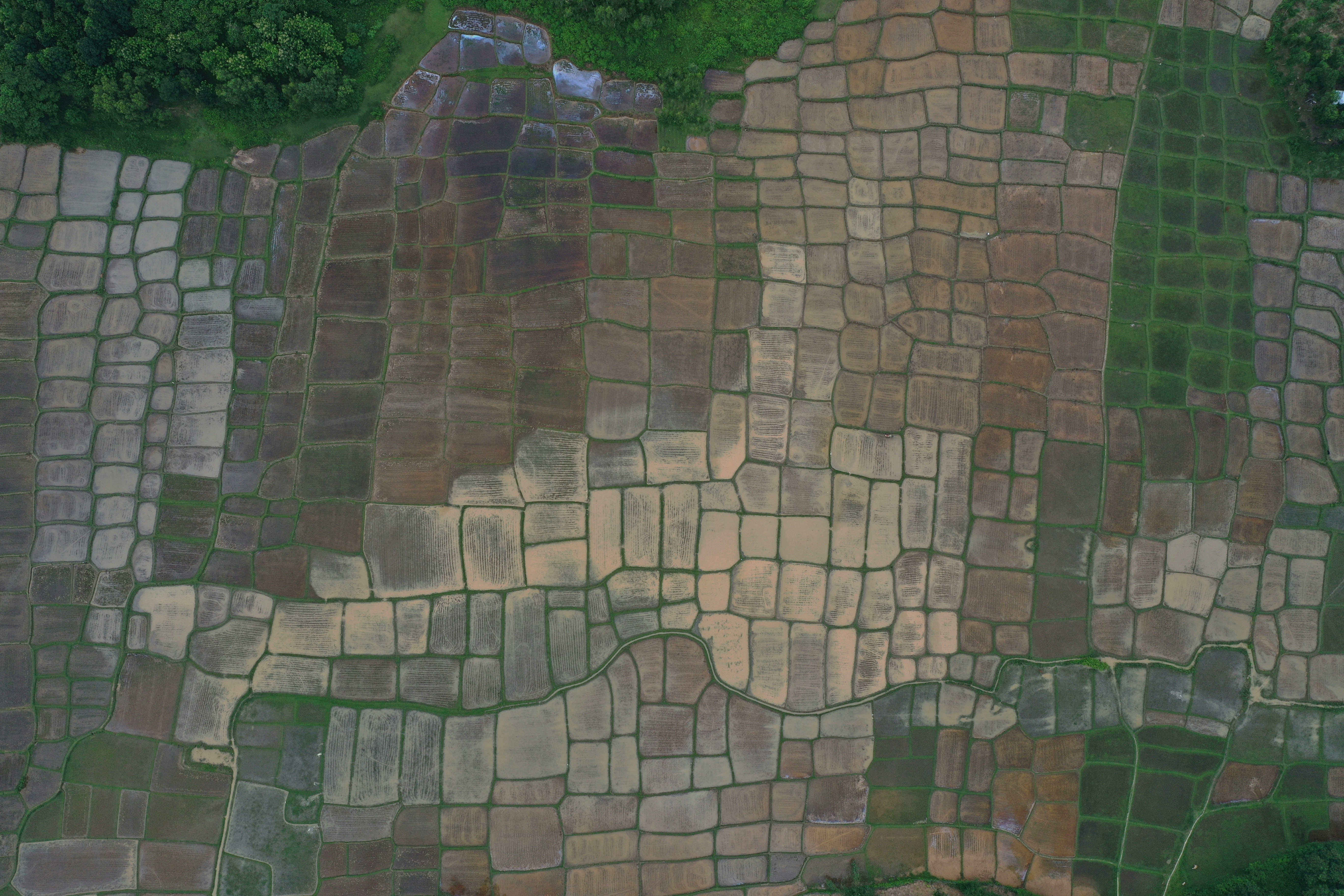 an aerial view of a patch of grass and a patch of dirt